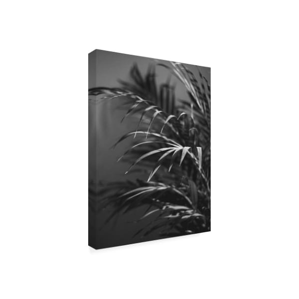 Design Fabrikken 'Black Plant Fabrikken' Canvas Art,35x47